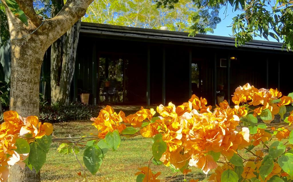 Lagoon Pocket Bed & Breakfast Exterior photo